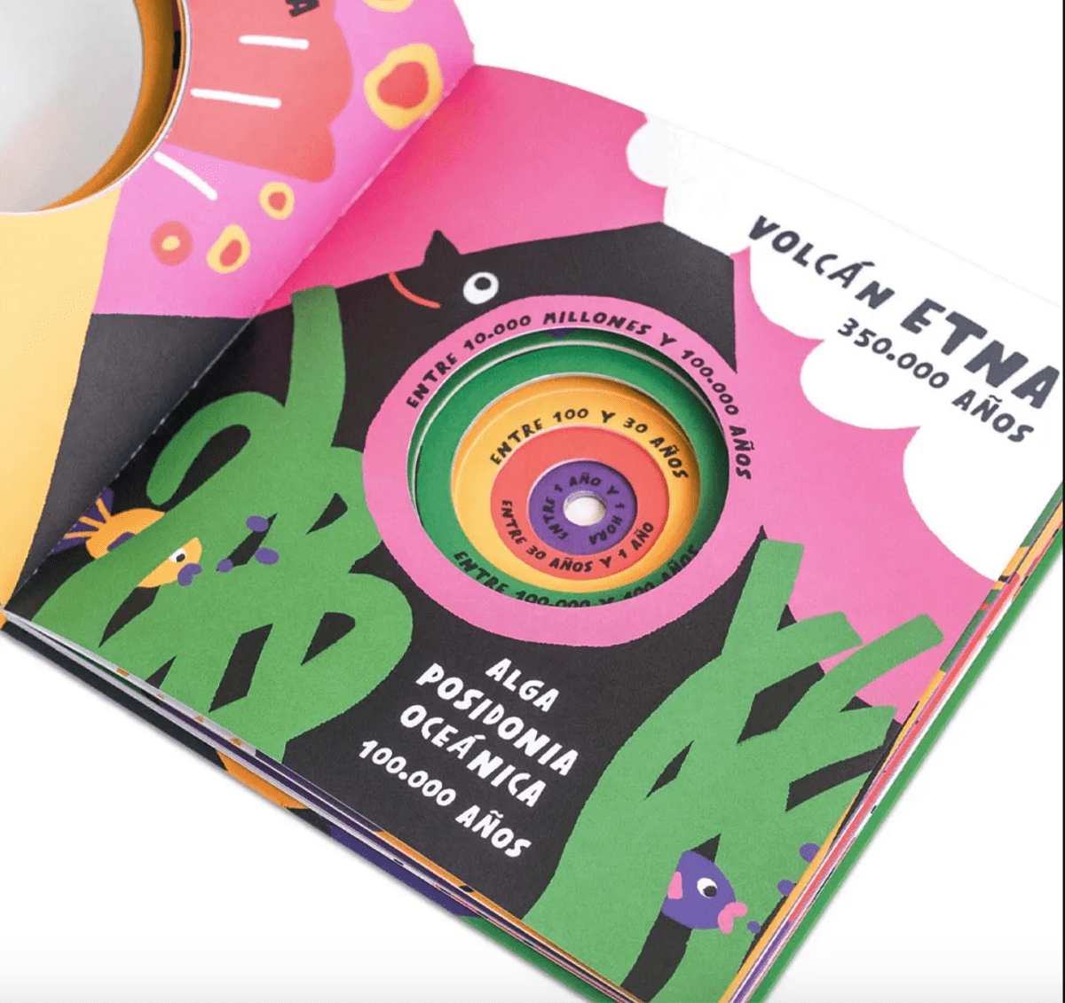 ¿CUÁNTO TIEMPO VIVE?2