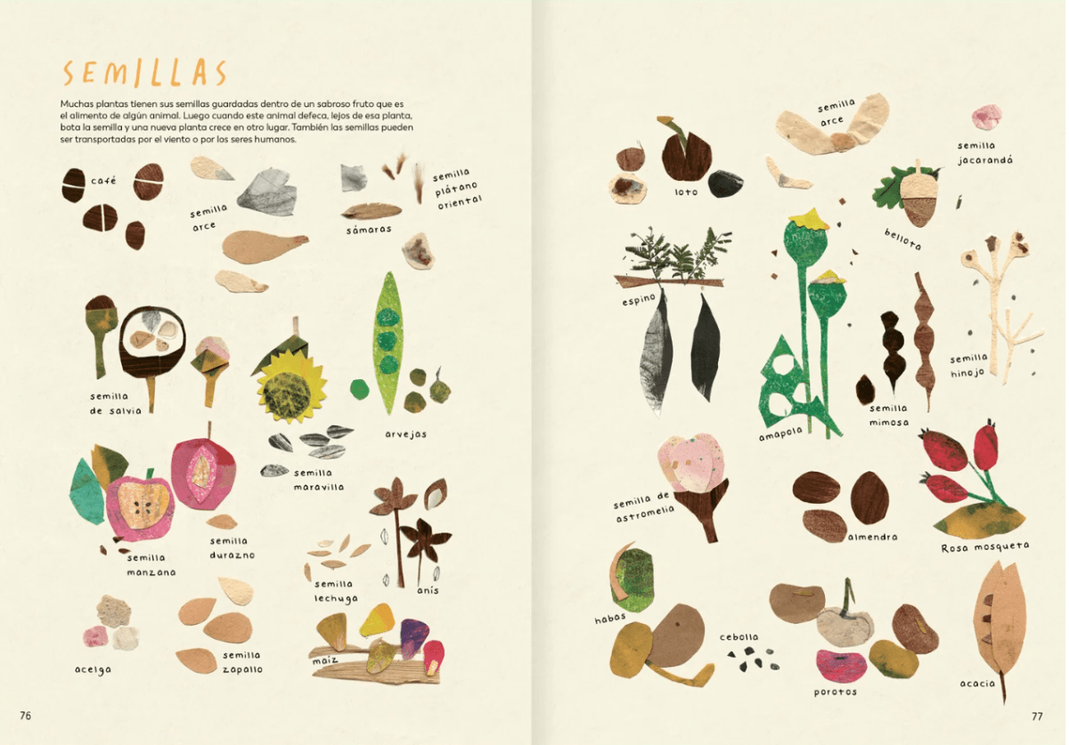 EXPLORA TU MUNDO NATURAL3