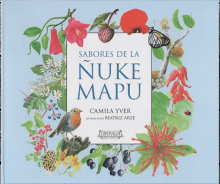 SABORES DE LA ÑUKE MAPU1