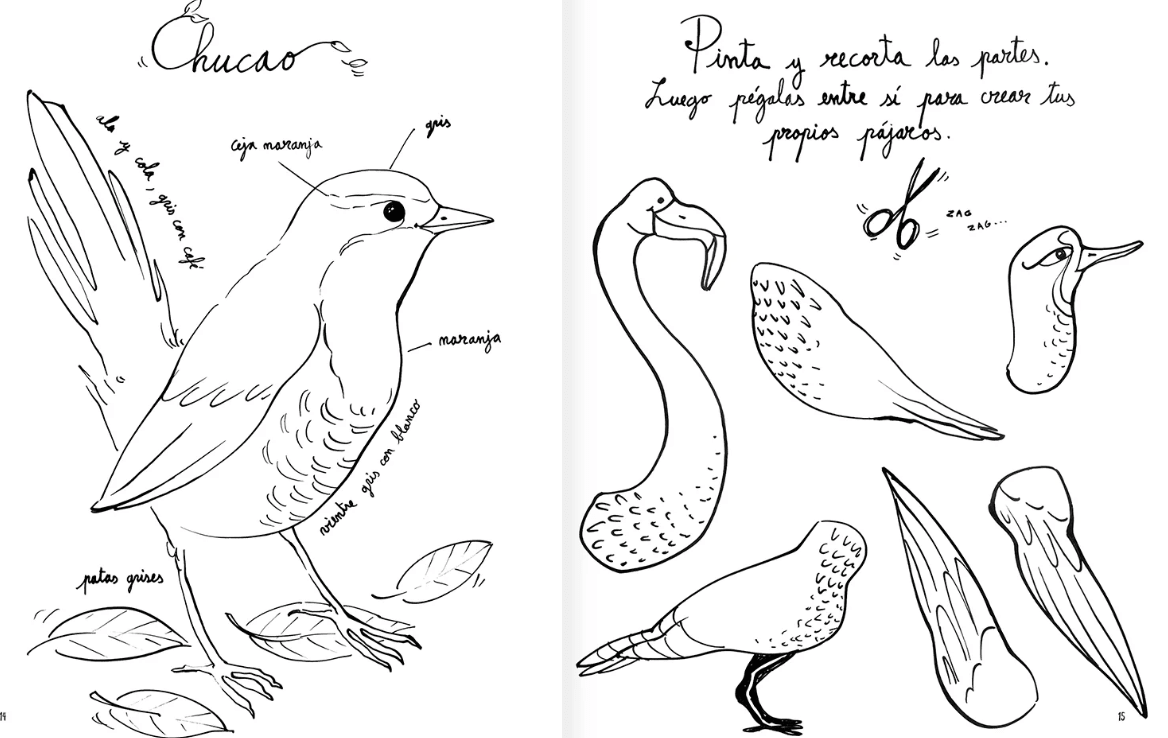 PINTAPÁJAROS2
