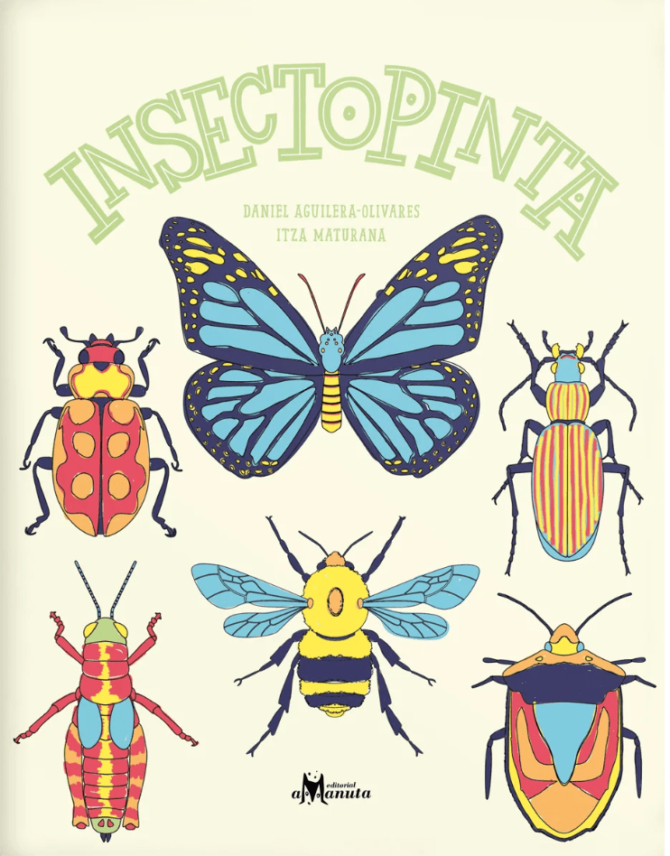 INSECTOPINTA1