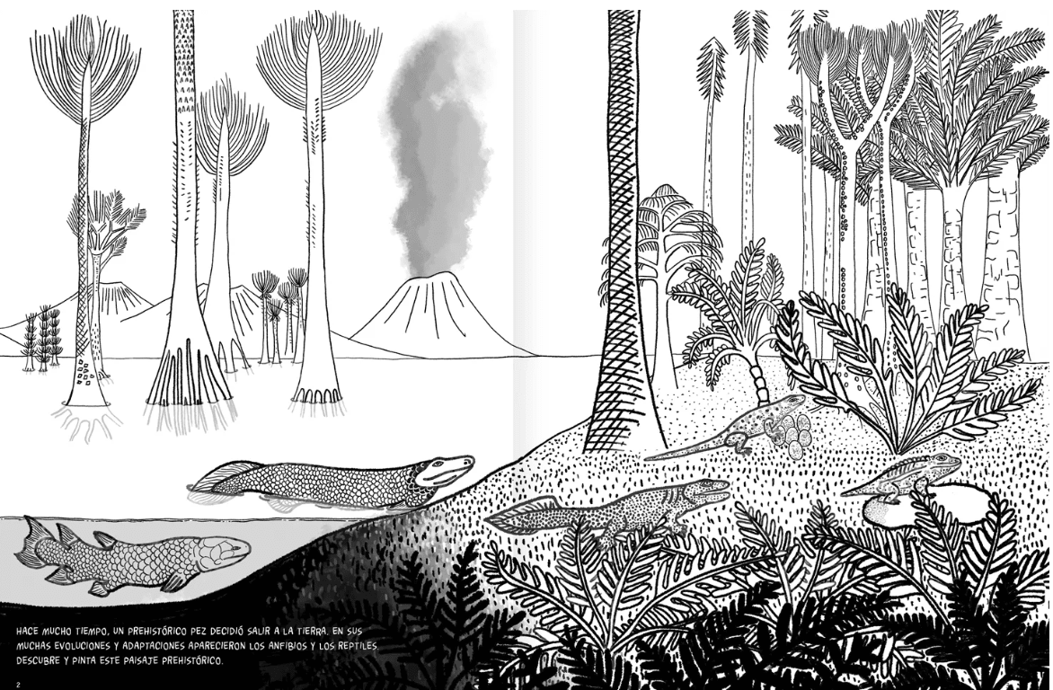 ANFIBIOS Y REPTILES2