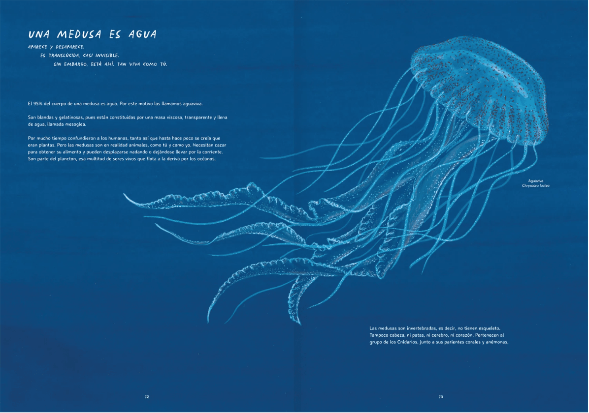 MISTERIOSAS MEDUSAS2