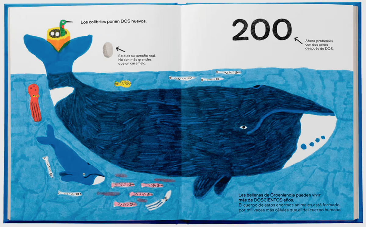 LOS PULPOS TIENEN CERO HUESOS2