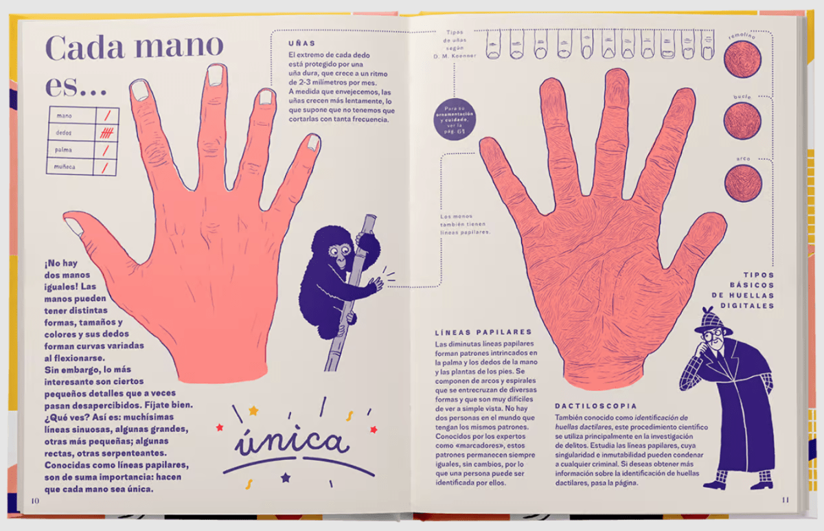 MANO. UNA GUÍA COMPLETA3