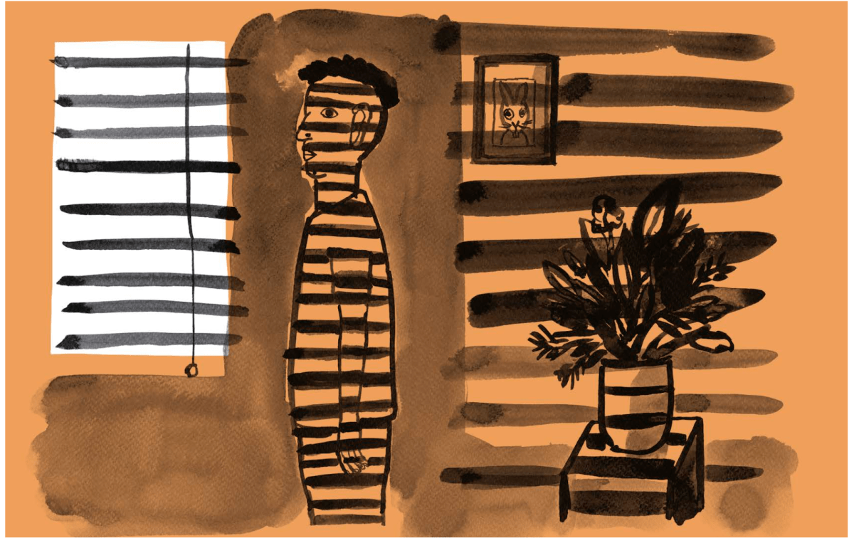 DENTRO DE UNA CEBRA2