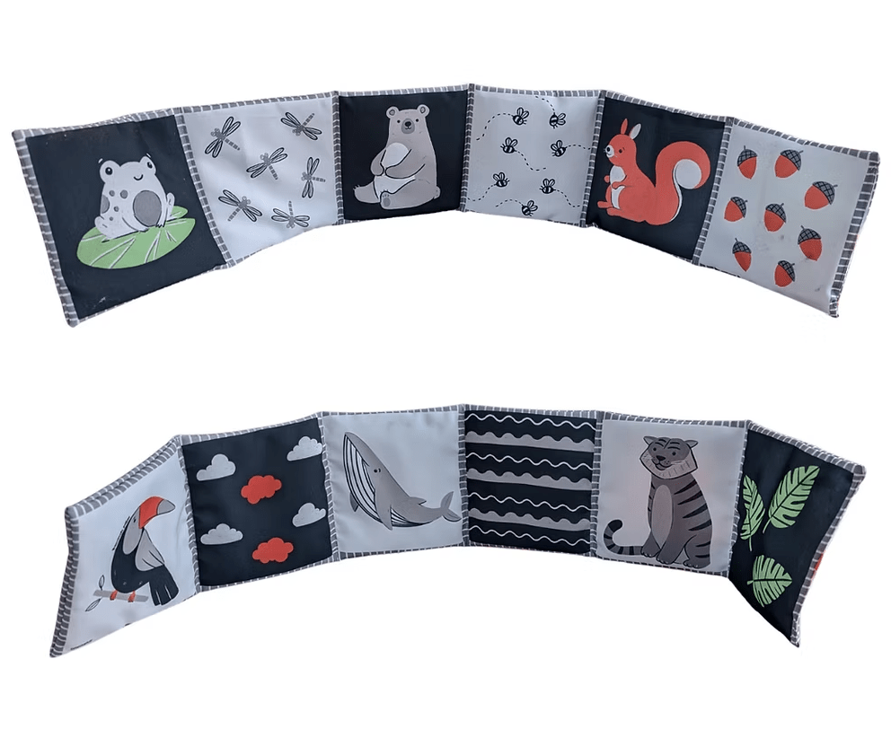 ¿DÓNDE ESTÁ? MINILUPA1