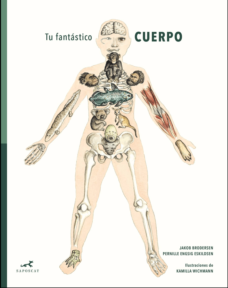 TU FANTÁSTICO CUERPO1