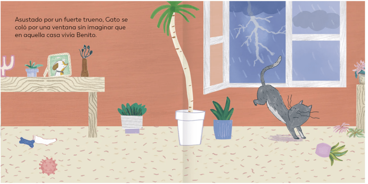 BENITO Y GATO2