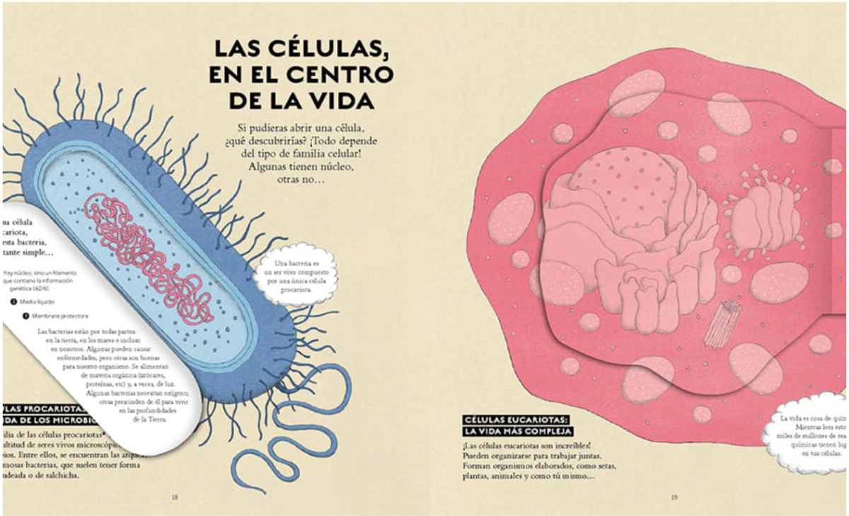 VIDA2
