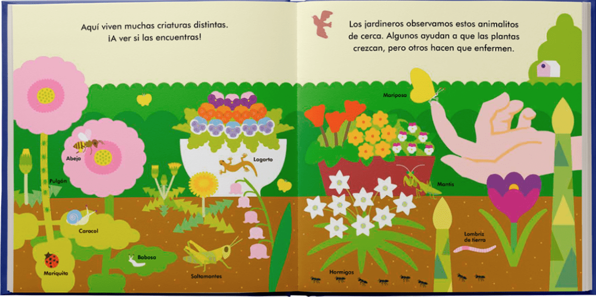 MI PEQUEÑO JARDÍN2