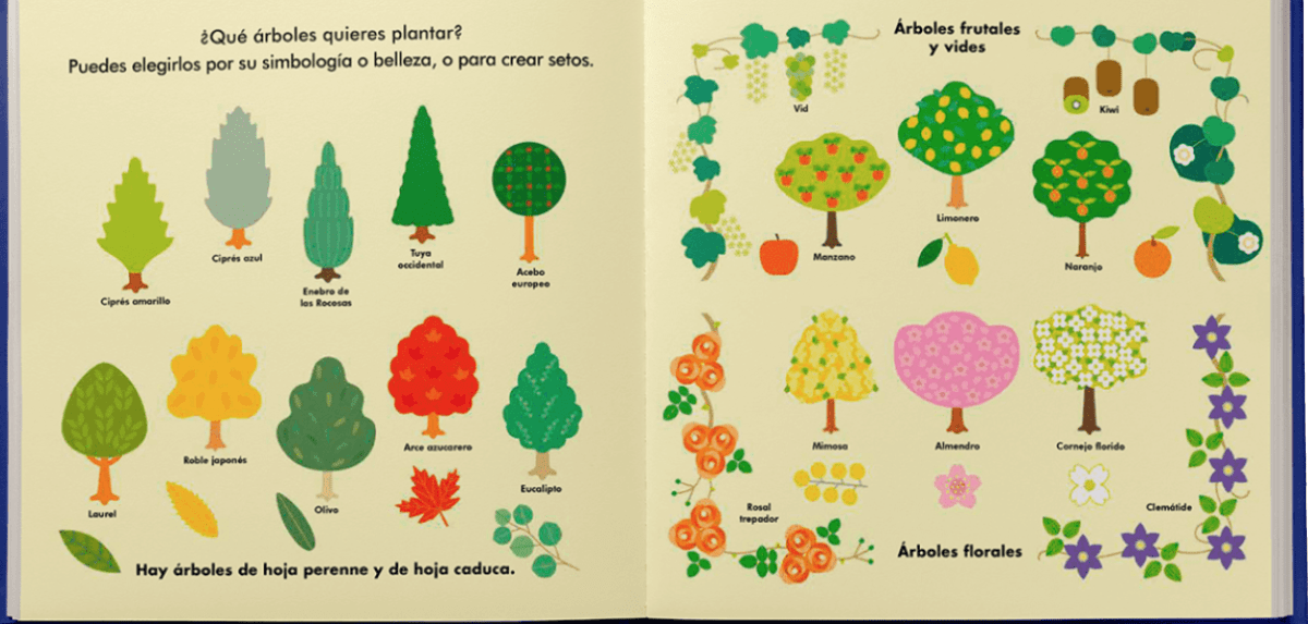 MI PEQUEÑO JARDÍN3