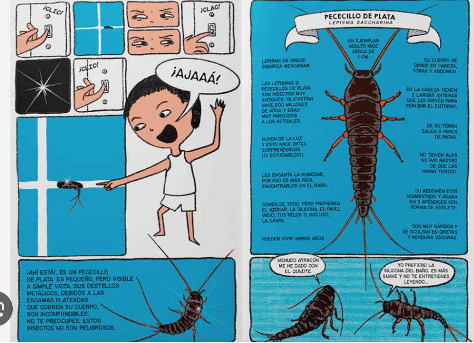 BICHOS UNA JUNGLA EN CASA2