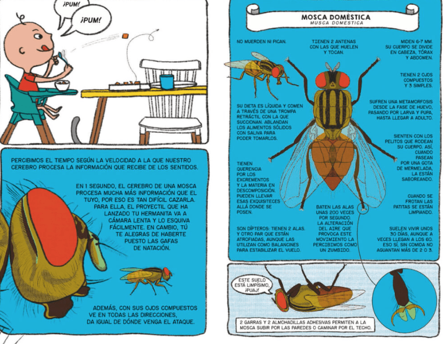 BICHOS UNA JUNGLA EN CASA3