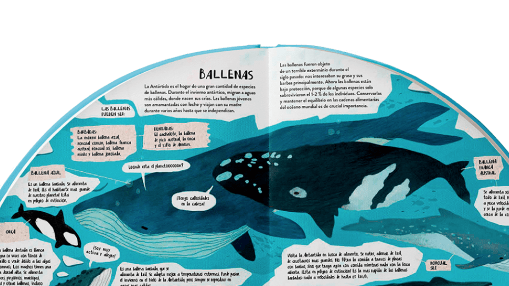 EXPLORA LA ANTÁRTIDA EN 360º3