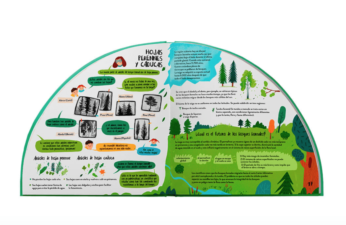 EXPLORA LOS BOSUQES EN 360º2