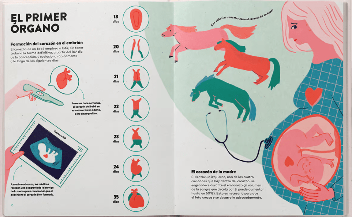 UN CORAZÓN. HISTORIA, CIENCIA Y MUCHO AMOR2