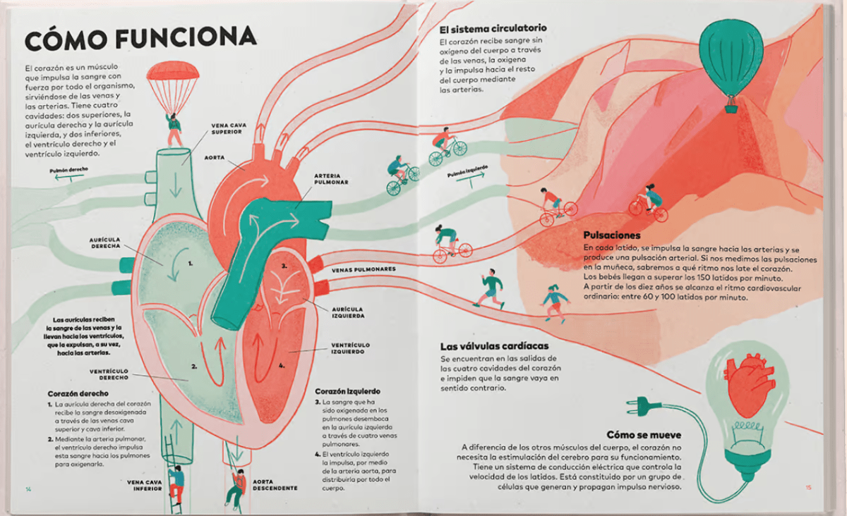 UN CORAZÓN. HISTORIA, CIENCIA Y MUCHO AMOR3