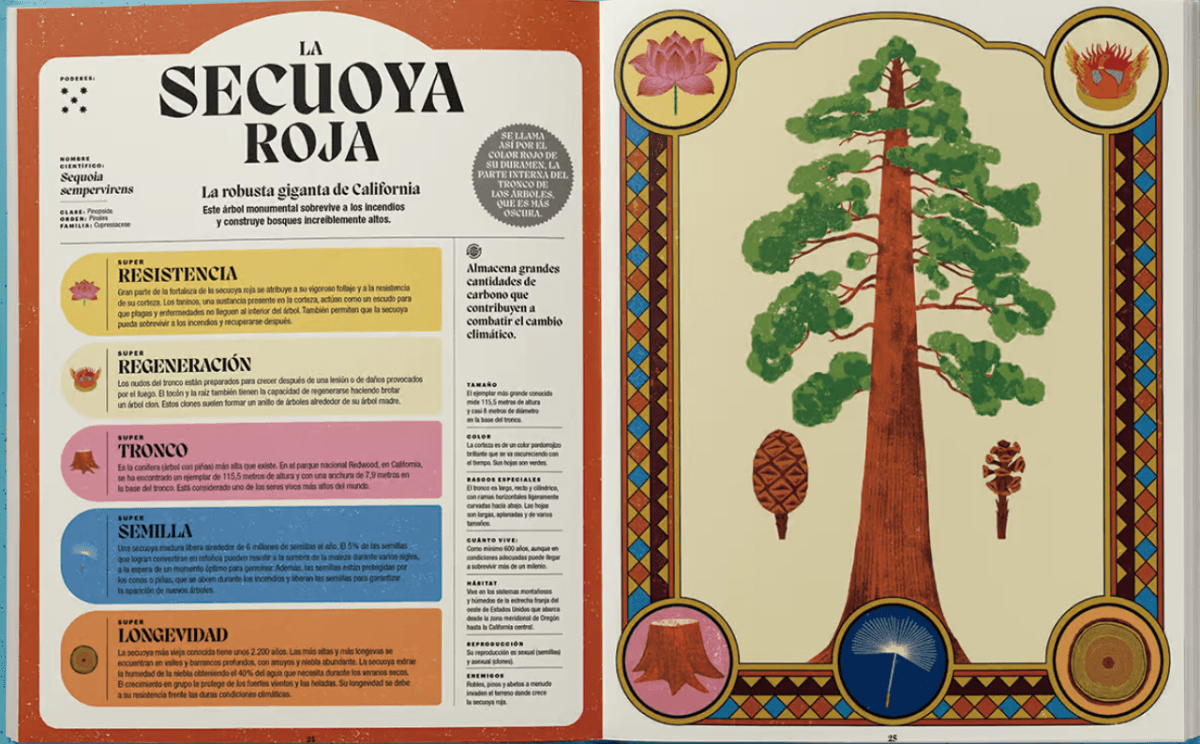 SUPER PODERES DE LAS PLANTAS2