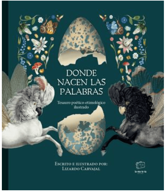 DONDE NACEN LAS PALABRAS1