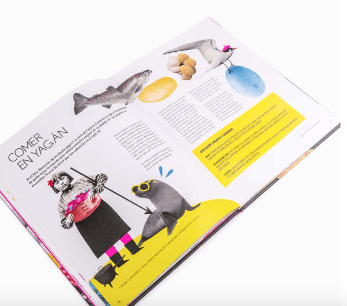 CHILE, CHICHA Y CHANCHO3