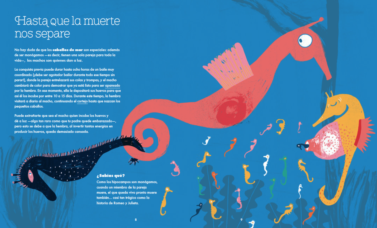 AMOR ANIMAL5