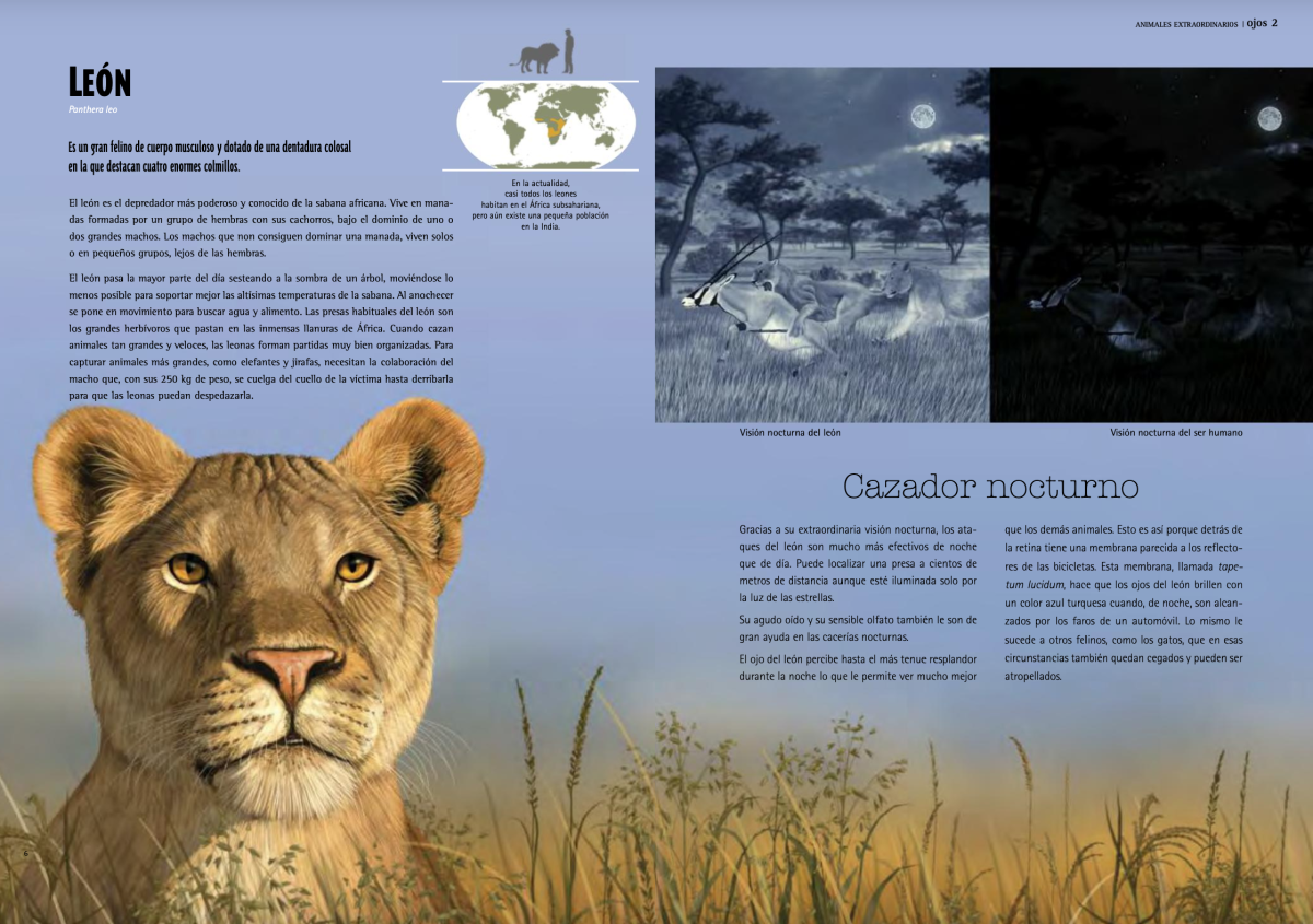 OJOS: ANIMALES EXTRAORDINARIOS4