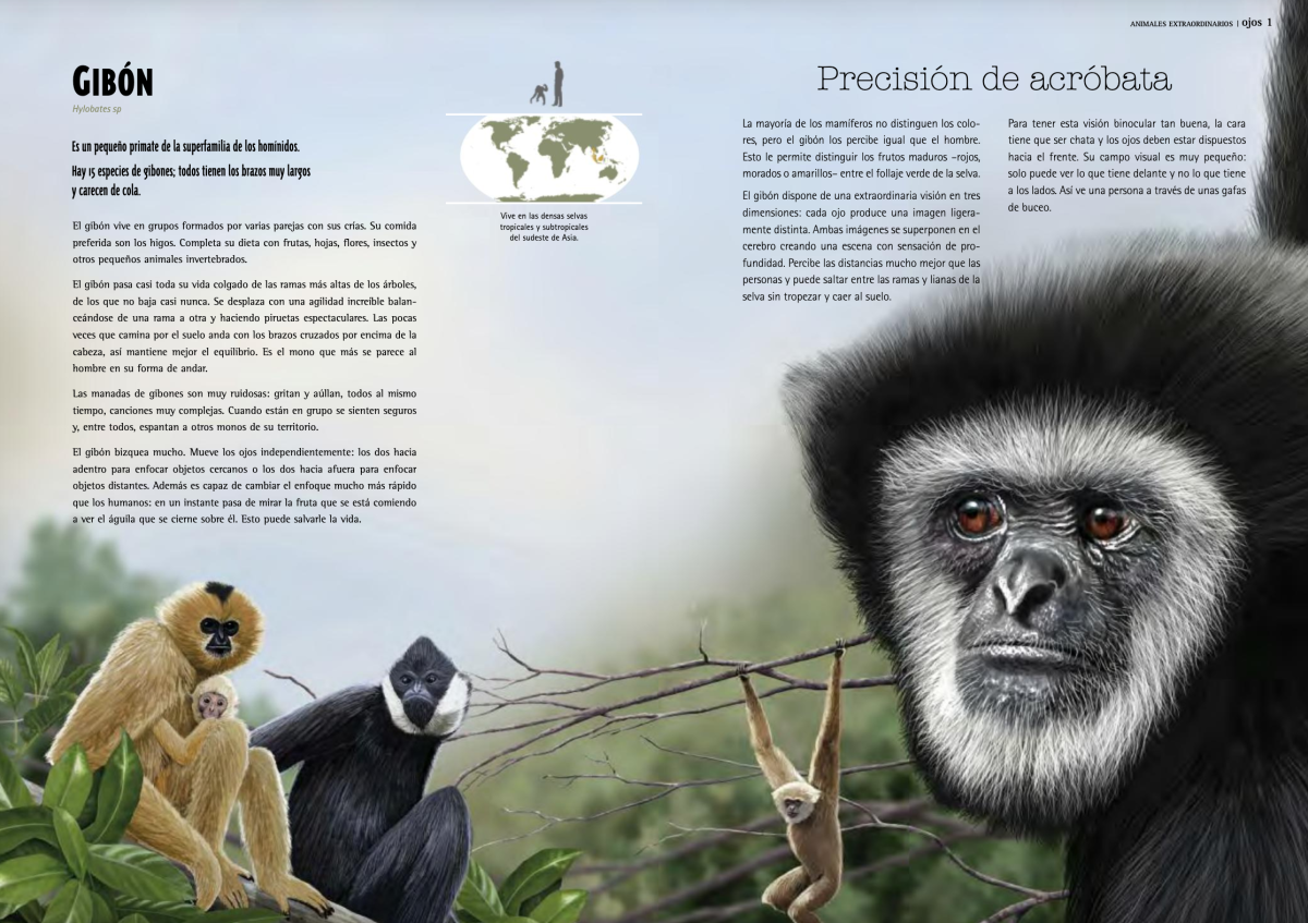 OJOS: ANIMALES EXTRAORDINARIOS2