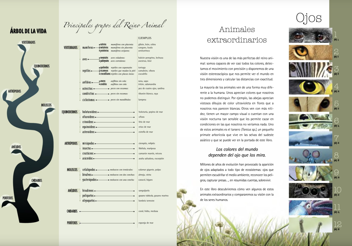 OJOS: ANIMALES EXTRAORDINARIOS3