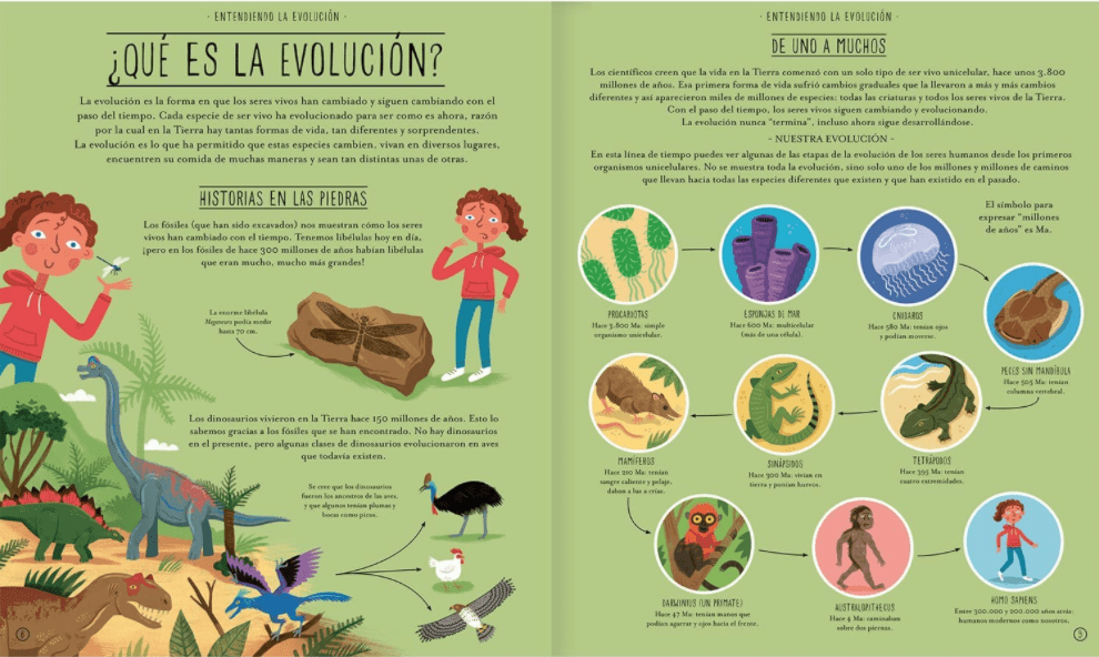 INCREIBLE EVOLUCIÓN6