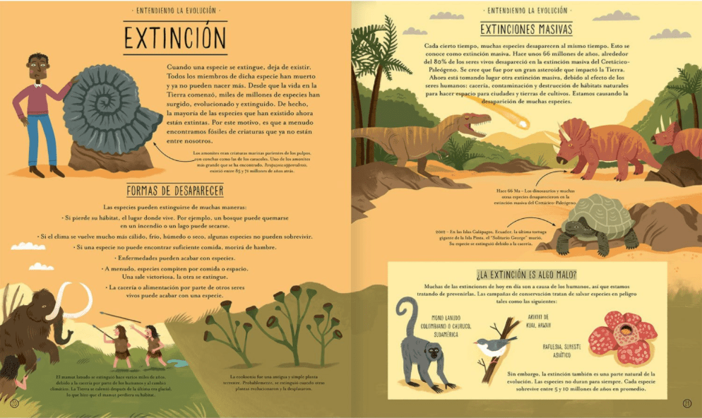 INCREIBLE EVOLUCIÓN5