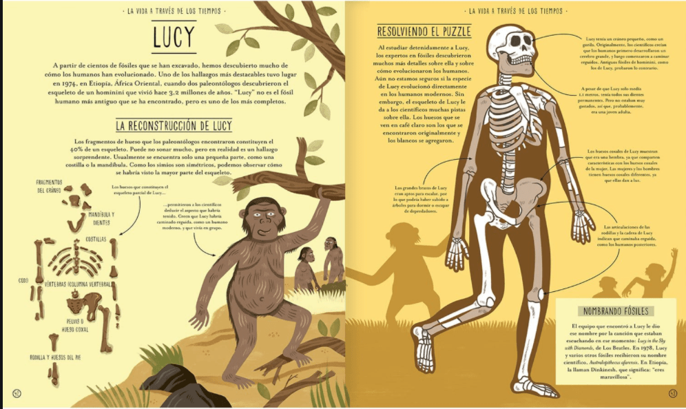 INCREIBLE EVOLUCIÓN4