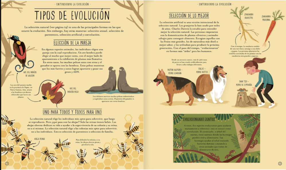 INCREIBLE EVOLUCIÓN3