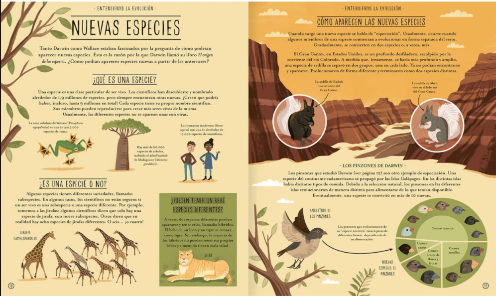 INCREIBLE EVOLUCIÓN2