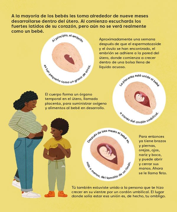 ¿CÓMO SE HACEN LOS BEBÉS?4