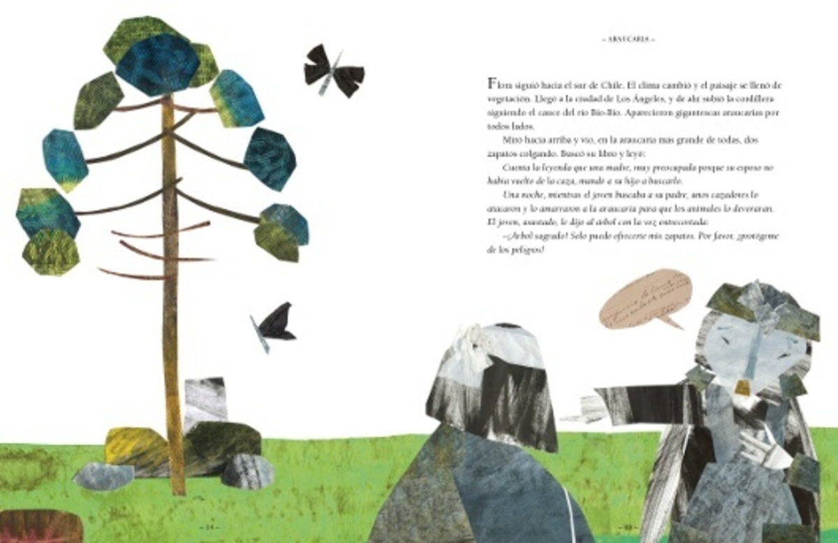 FLORA CUENTOS ANDINOS4