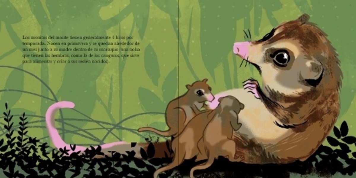 EL MONITO DEL MONTE2