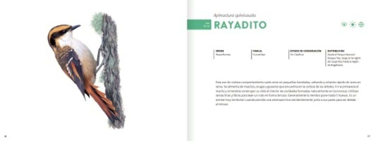 HISTORIA NATURAL DE LOS ANIMALES DEL BOSQUE2