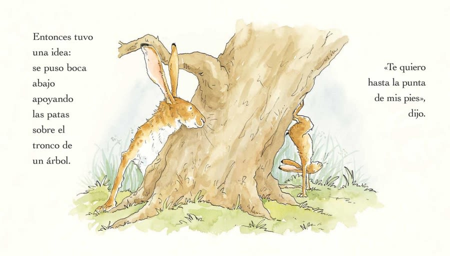 ADIVINA CUANTO TE QUIERO DURANTE TODO EL AÑO2