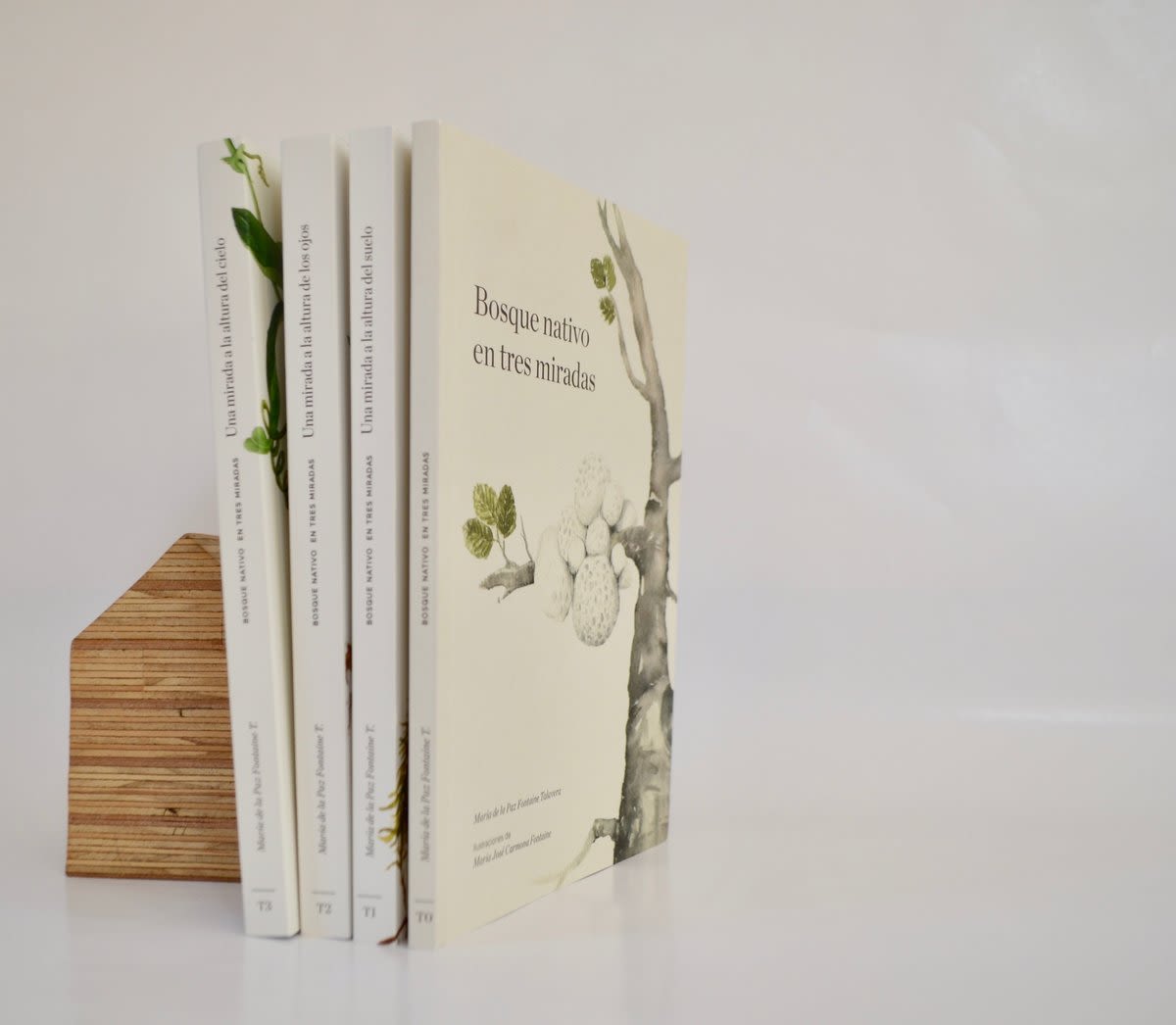 BOSQUE NATIVO EN TRES MIRADAS 2º EDICIÓN2