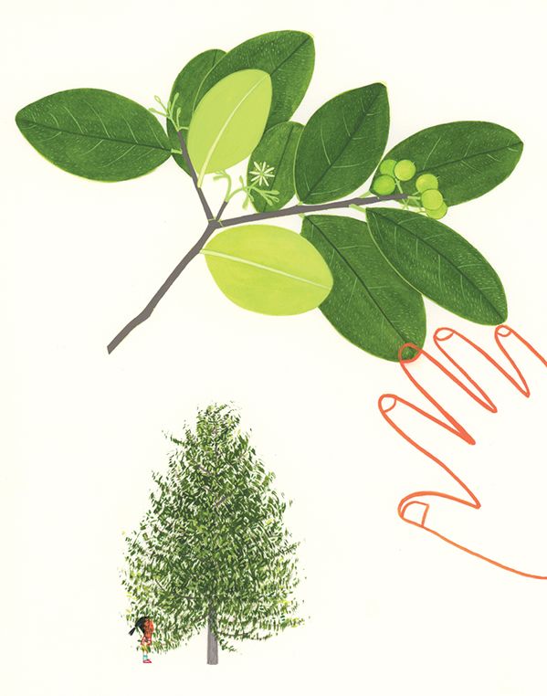 EL VIAJE DE ARBÓREO4