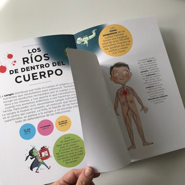 EL CUERPO HUMANO POR DENTRO2