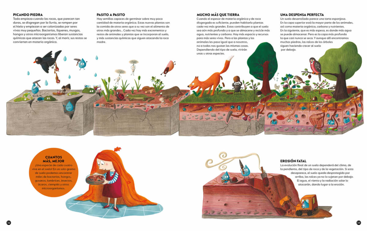 EL BOSQUE ES NUESTRA CASA3