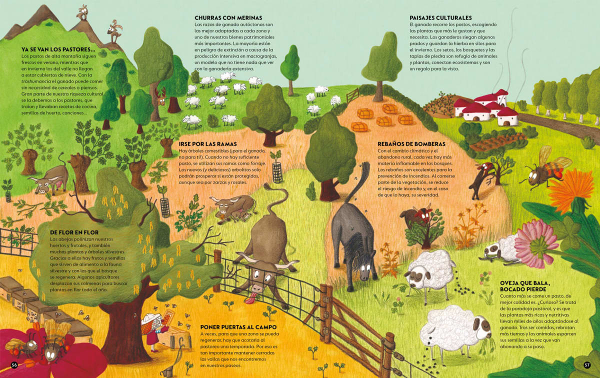 EL BOSQUE ES NUESTRA CASA5