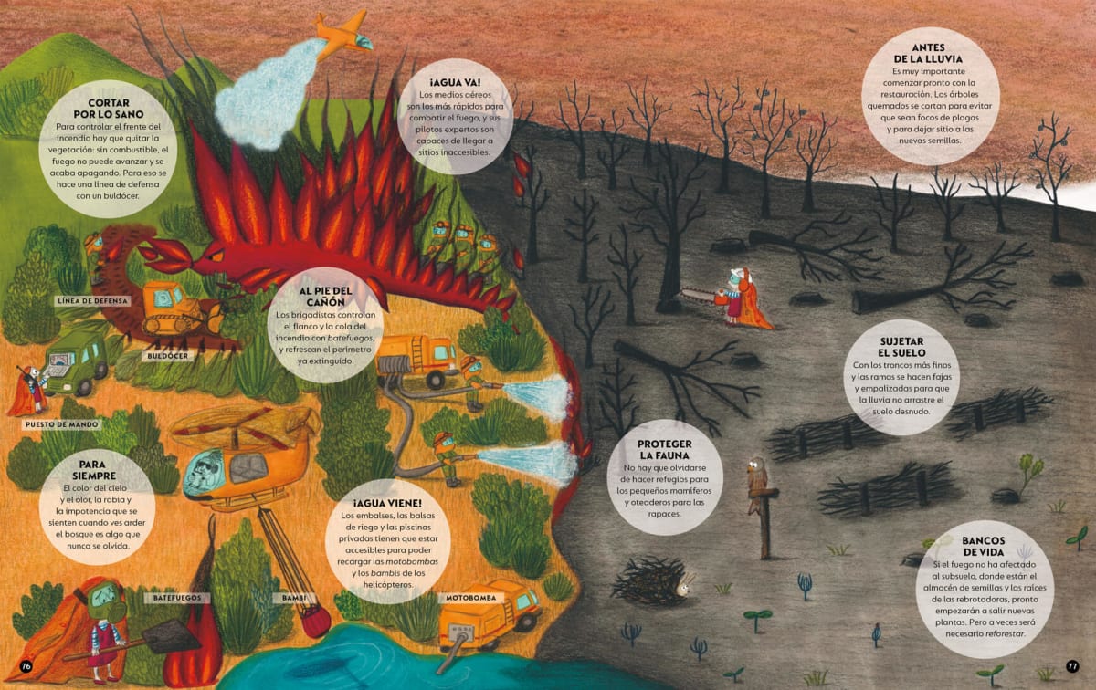 EL BOSQUE ES NUESTRA CASA4