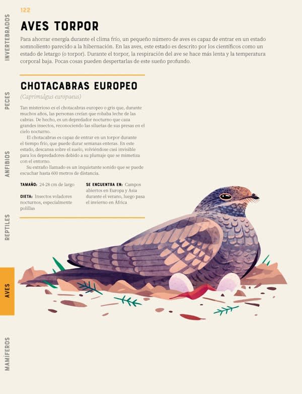 ENCICLOPEDIA DE ANIMALES CONTRAPUNTO3