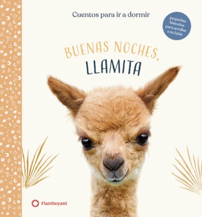 BUENAS NOCHES LLAMITAS1