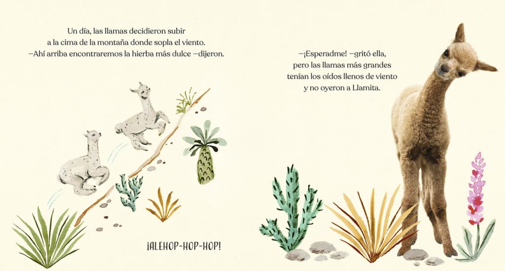 BUENAS NOCHES LLAMITAS3