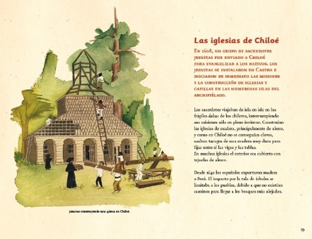 EL ALERCE, GIGANTE MILENARIO4