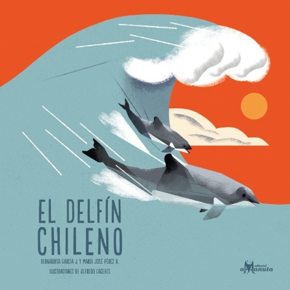 EL DELFIN CHILENO1